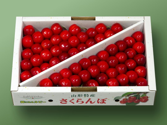  gG 2L-1kg
